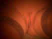 amanda07.jpg (51369 octets)