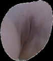 mariex03.jpg (78545 octets)