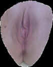 mariex04.jpg (83582 octets)
