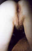 maryse4.jpg (35668 octets)
