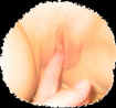 mx10.jpg (37671 octets)