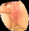 mx11.jpg (26676 octets)