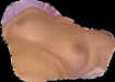 mx13.jpg (61708 octets)