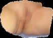 mx16.jpg (62116 octets)
