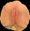 mx7.jpg (43593 octets)
