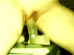 nicky07.jpg (54278 octets)