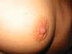 princesse08.jpg (12081 octets)