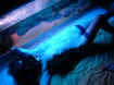 sexyplasea_010.jpg (37699 octets)