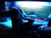 sexyplasea_012.jpg (32024 octets)