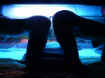 sexyplasea_015.jpg (26225 octets)
