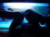 sexyplasea_016.jpg (24211 octets)