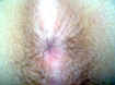 snap0377.jpg (62719 octets)