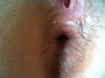 snap0394.jpg (55254 octets)