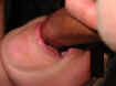 x2004 029.jpg (24603 octets)
